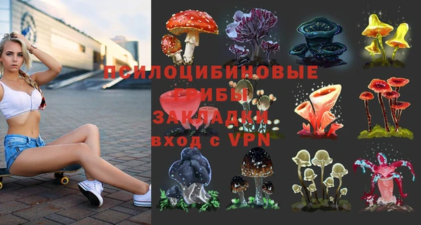 мдма Богородицк