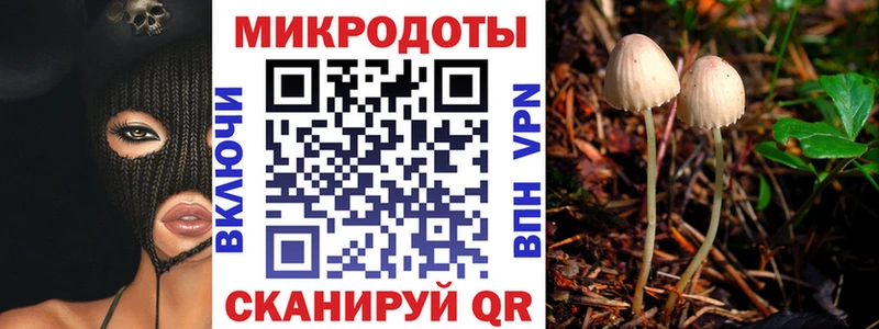 как найти закладки  Дно  Псилоцибиновые грибы Psilocybe 